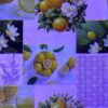 CRYSTAL LAMINATION